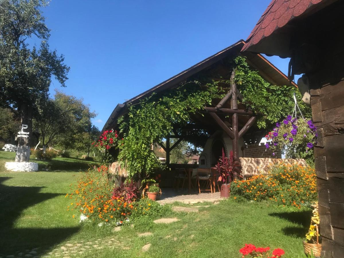 ホテルCasa Relax Văleni エクステリア 写真