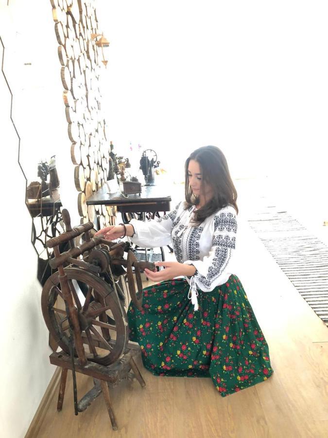 ホテルCasa Relax Văleni エクステリア 写真