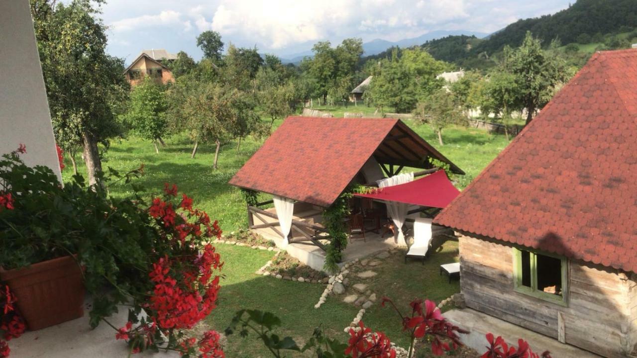 ホテルCasa Relax Văleni エクステリア 写真