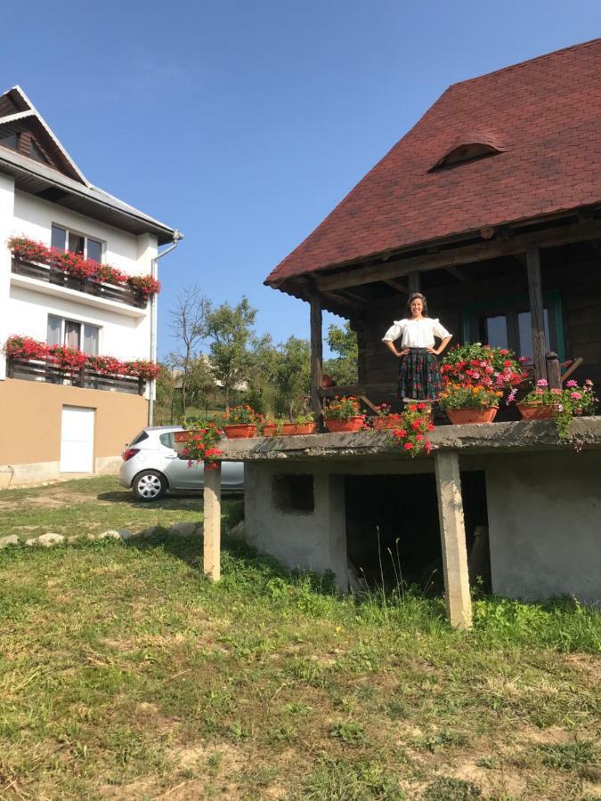 ホテルCasa Relax Văleni エクステリア 写真