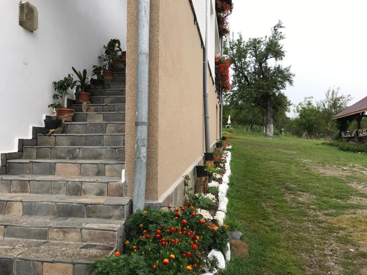 ホテルCasa Relax Văleni エクステリア 写真